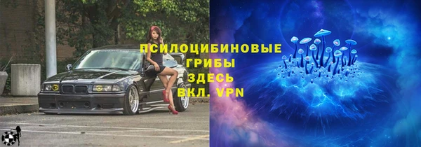 винт Арсеньев