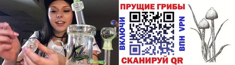 Купить закладки  Навашино  Псилоцибиновые грибы Magic Shrooms 